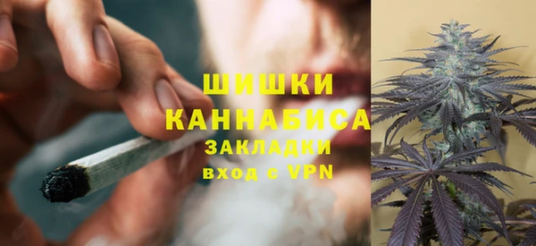 спайс Каменка