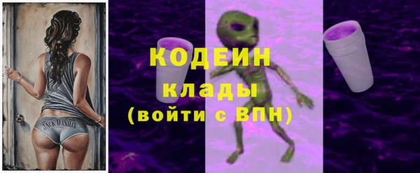 спайс Каменка