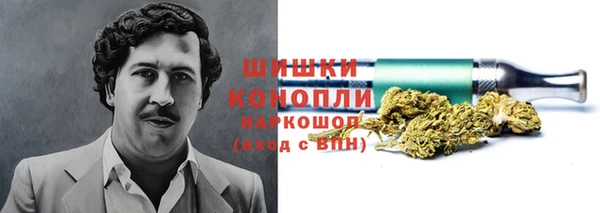 спайс Каменка