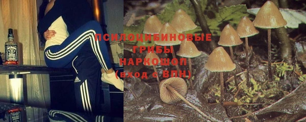 спайс Каменка