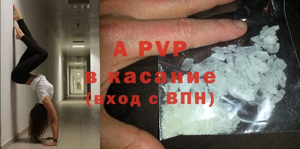 спайс Каменка