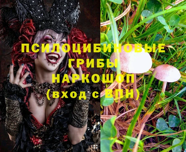 мяу мяу мука Инта