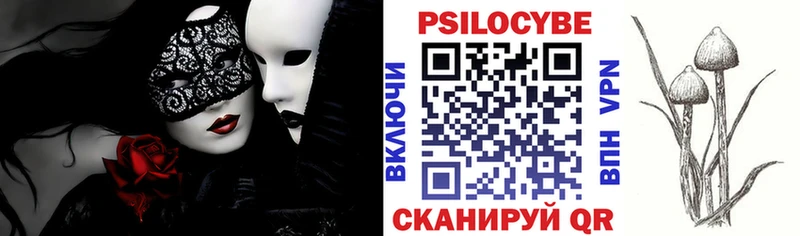 дарнет шоп  Ясногорск  Псилоцибиновые грибы GOLDEN TEACHER 